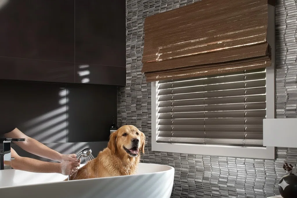 Pets Safety Cordless